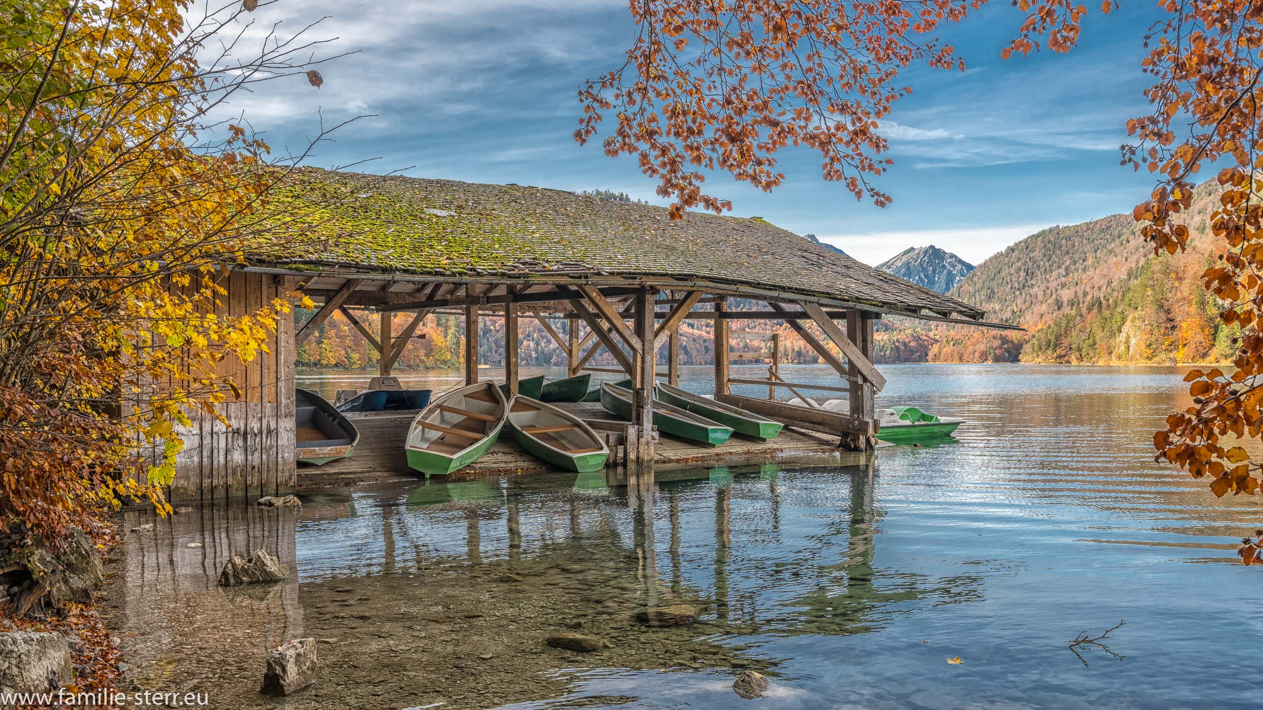 Alpsee im Herbst
